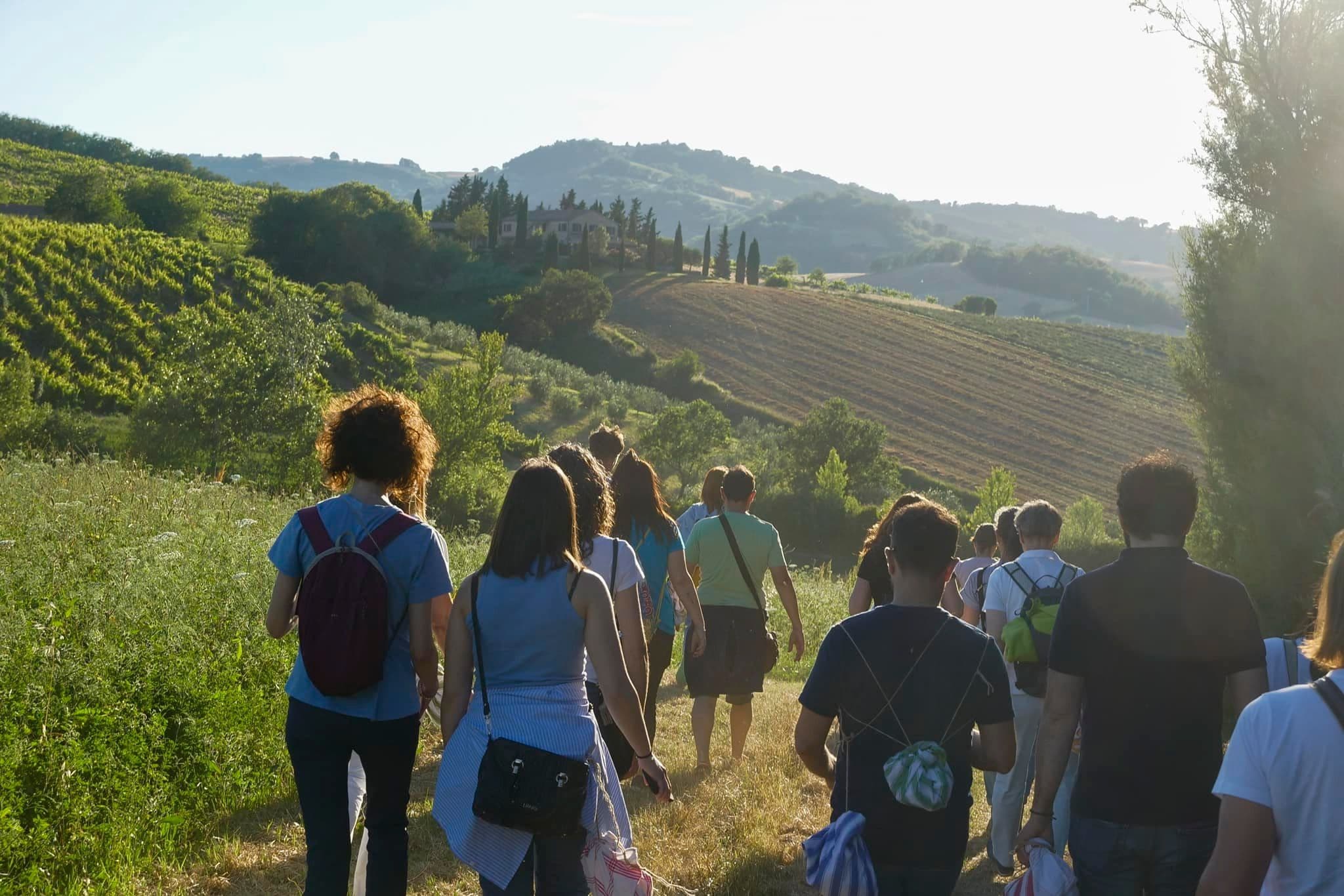 Degustazione in cantina — Villa Ligi